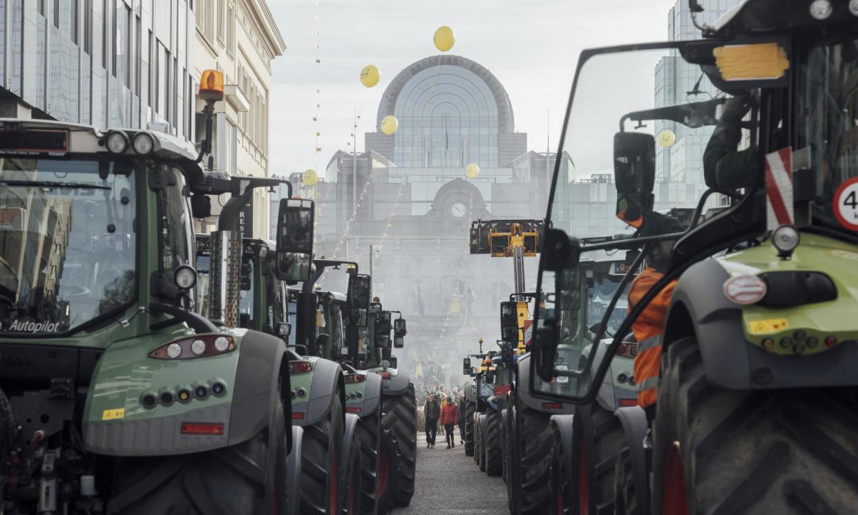 <span>A farmers’ protest in Brussels, Belgium, 1 February 2024.</span><span>Photograph: Bloomberg/Getty Images</span>