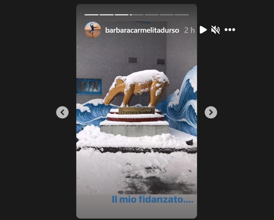 La maxi nevicata a Milano conquista i vip. Valanga di storie, video e post sui profili Instagram delle celebrità.