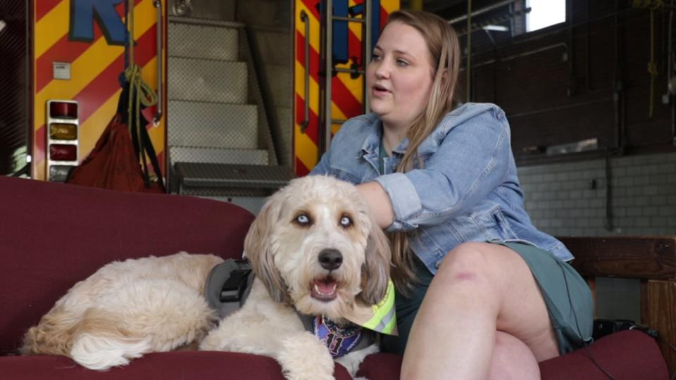 Asher is one of four therapy dogs assigned to Charlotte Fire stations.