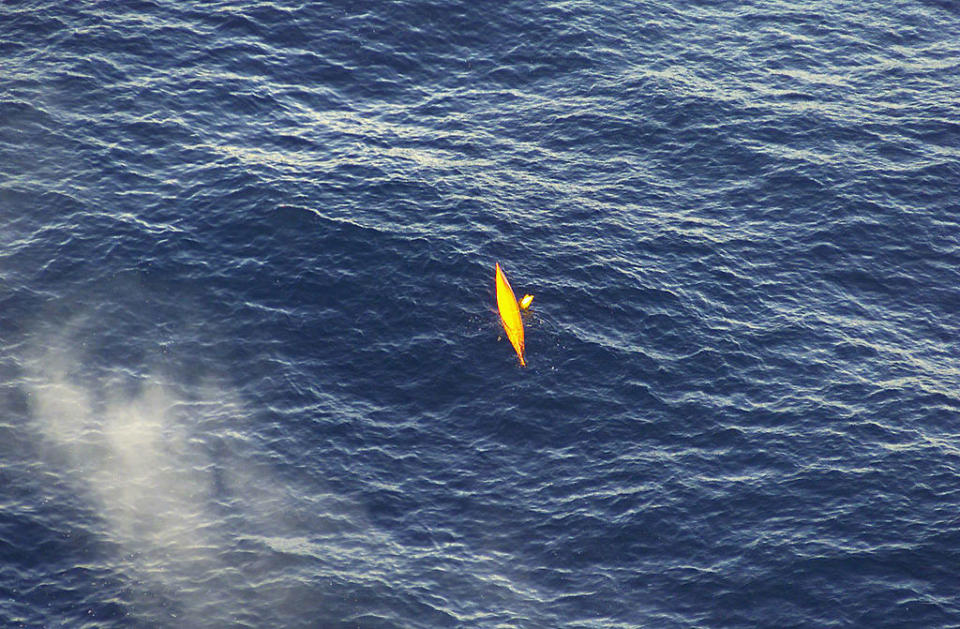 a yellow fish jumping out of water