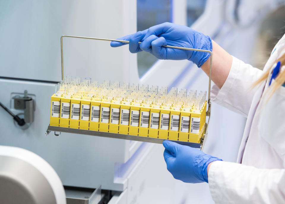 27 March 2020, Schleswig-Holstein, Geesthacht: A biology laboratory technician from the LADR laboratory network Dr. Kramer and colleagues analyses molecular biological samples for the SARS CoV-2 virus. The laboratory currently evaluates around 1500 corona tests per day. (to dpa "Laboratory in Geesthacht tests 1500 samples per day") Photo: Daniel Bockwoldt/dpa (Photo by Daniel Bockwoldt/picture alliance via Getty Images)