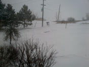 View of snow in Caledon, Ontario on February 8, 2013.