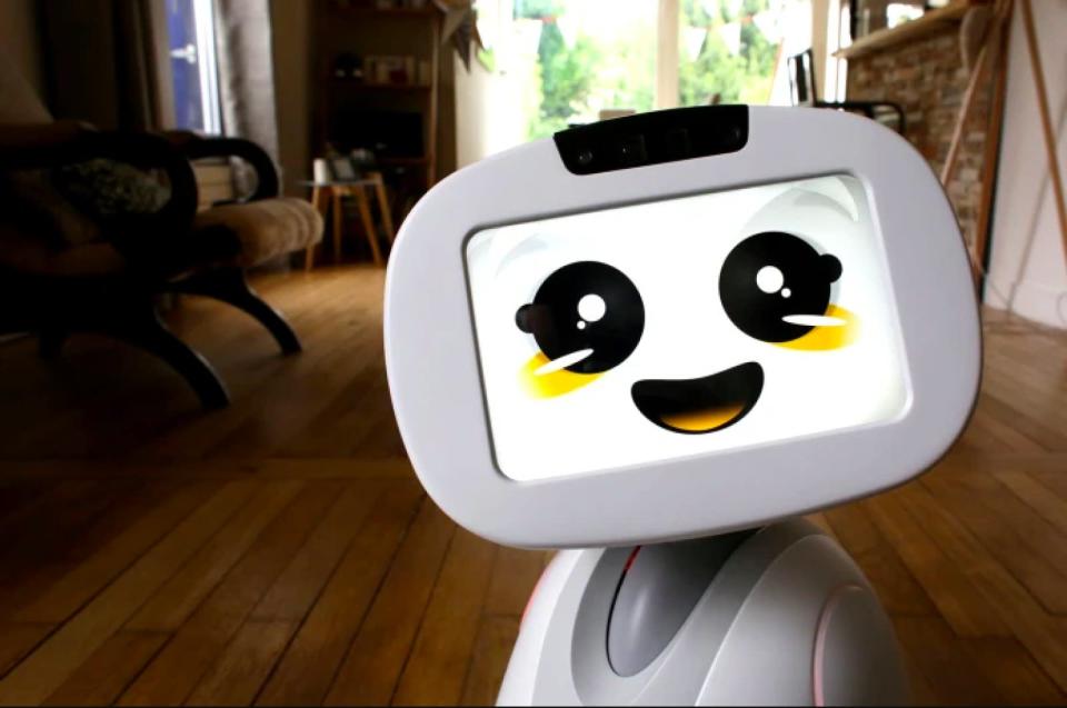 In 2015, Buddy the social robot first appeared on Indiegogo