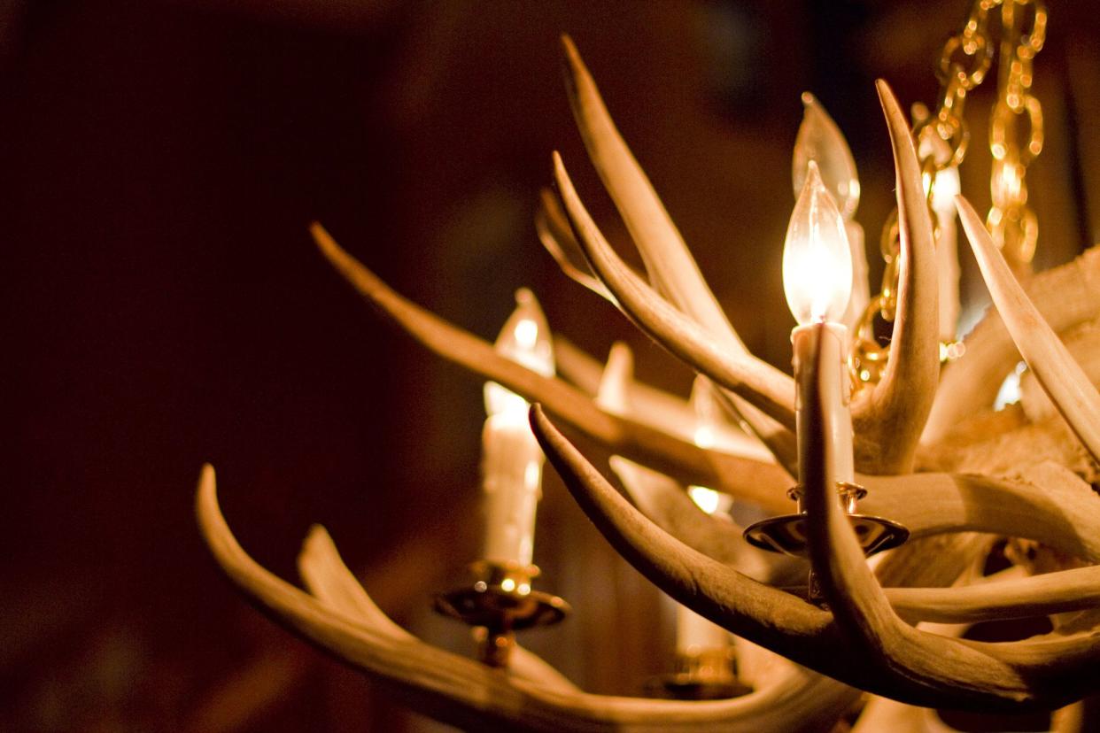 Close-up of Antler chandelier