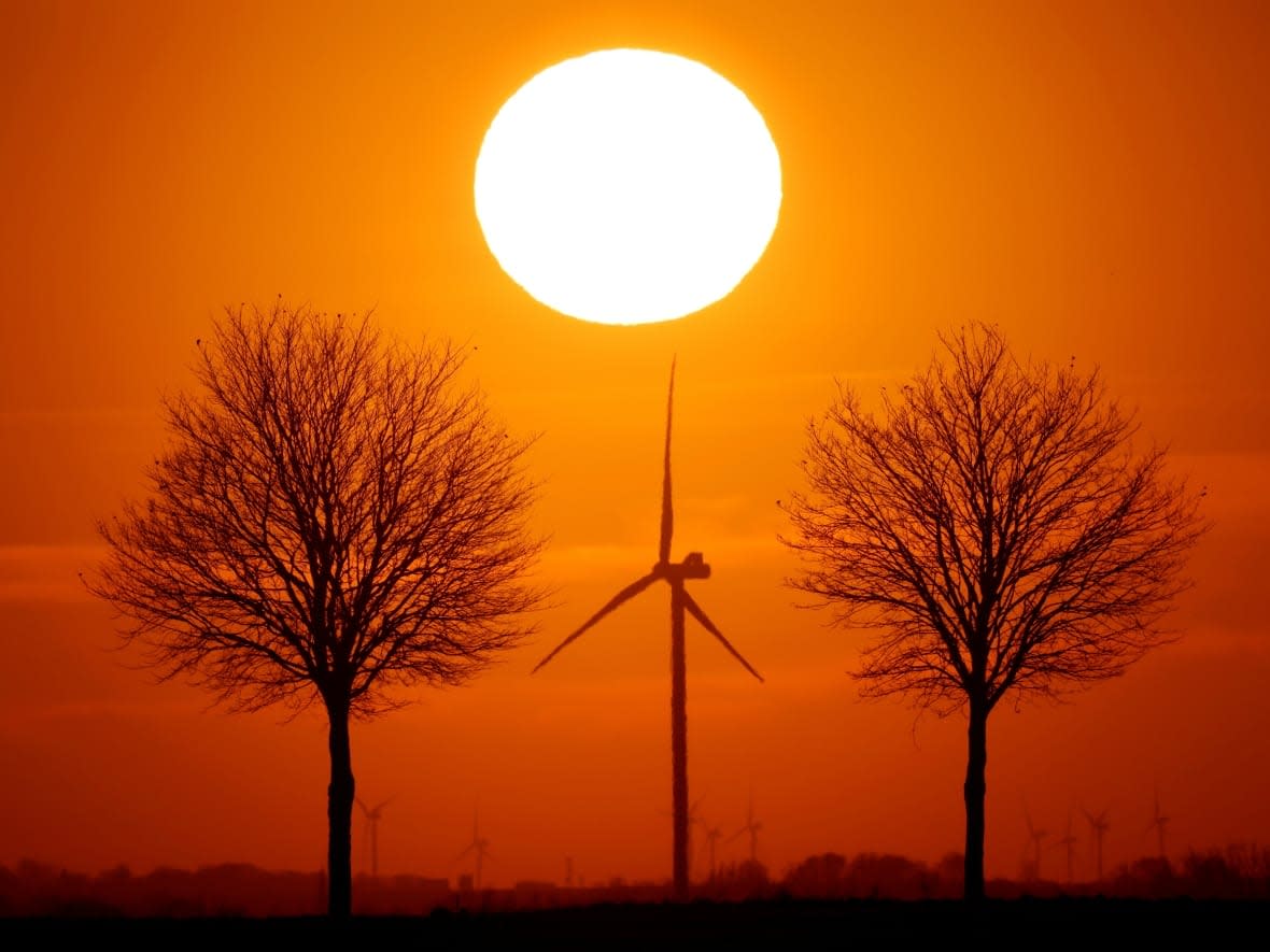 A wind turbine is seen between two trees at sunset in Bourlon, France, in February 2021. Achieving net zero means any emissions produced are offset by the removal of emissions, such as by trees. (Pascal Rossignol/Reuters - image credit)