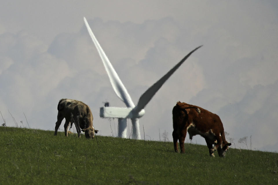 Cattle graze on a pasture while a wind turbine stands in the distance at the Reading Wind Facility in Reading, Kan., on Monday, April 27, 2020. Although the wind power project has experienced some delays in delivery of some foreign-sourced parts and had to implement social distancing measures, the project is on schedule to be completed in the next few weeks. (AP Photo/Charlie Riedel)