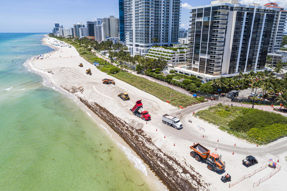 Miami Beach, Florida, aerial view of public beach restoration with Sargassum, smelly seaweed that's been traversing the Atlantic Ocean in massive clumps. / Credit: Jeffrey Greenberg/Universal Images Group via Getty Images