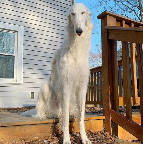 Eris is seen posing at the top of a flight of stairs.