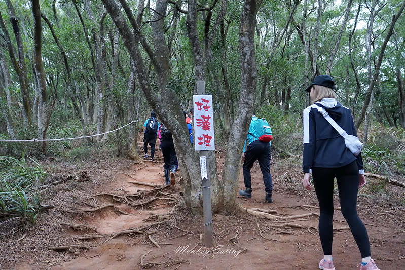 苗栗三義｜火炎山登山步道