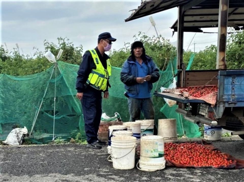 農曆春節正值鹽水小番茄產期，新營警分局規劃妥「護果專案」加強巡邏。 （警方提供）