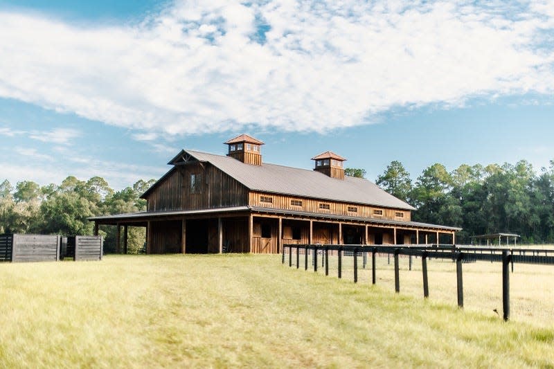 The Stables at Buck Lake is a new high-end equestrian facility in eastern Tallahassee.