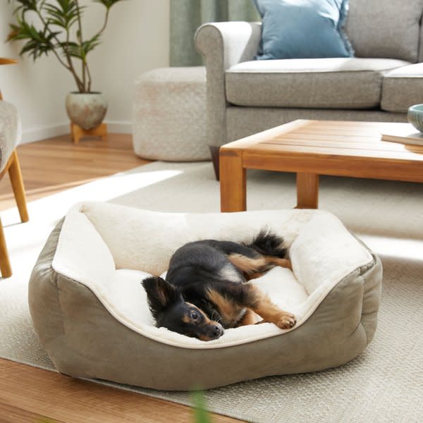 <p><a href="https://go.redirectingat.com?id=74968X1596630&url=https%3A%2F%2Fwww.chewy.com%2Ffrisco-rectangular-bolster-cat-dog%2Fdp%2F140588&sref=https%3A%2F%2Fwww.housebeautiful.com%2Fshopping%2Fg37726789%2Fbest-dog-beds%2F" rel="nofollow noopener" target="_blank" data-ylk="slk:Shop Now;elm:context_link;itc:0;sec:content-canvas" class="link rapid-noclick-resp">Shop Now</a></p><p>Frisco Bolster Dog Bed</p><p>$28.52</p><p>chewy.com</p>