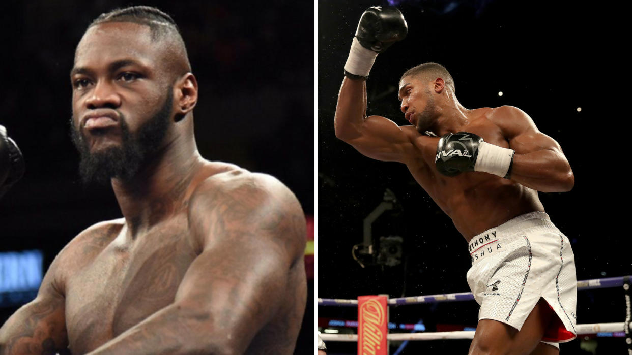 Deontay Wilder and Anthony Wilder will have to put their unification fight on hold