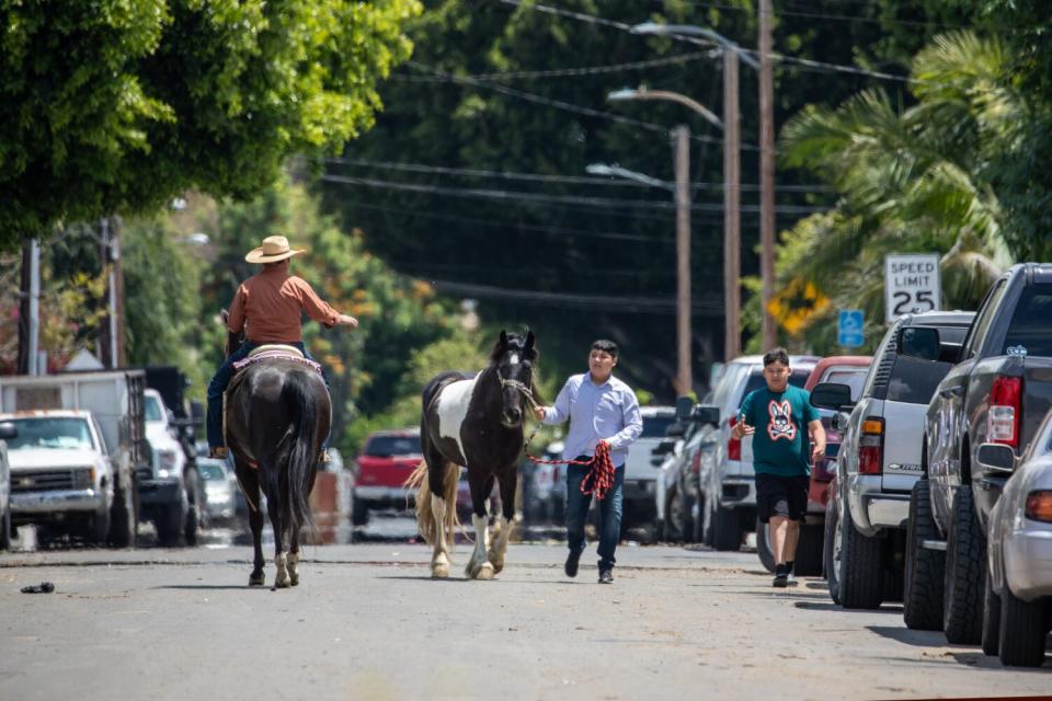 Two people with horses meet in a city street.