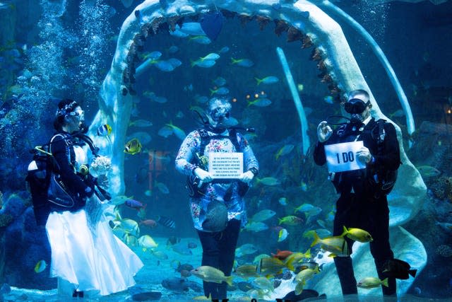 Underwater wedding