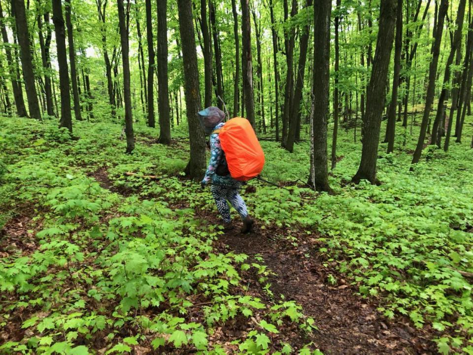 Arlette Laan hikes through a forested section of the Ice Age Trail in northern Wisconsin.