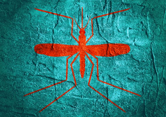 an orange drawing of a mosquito on a blue background.