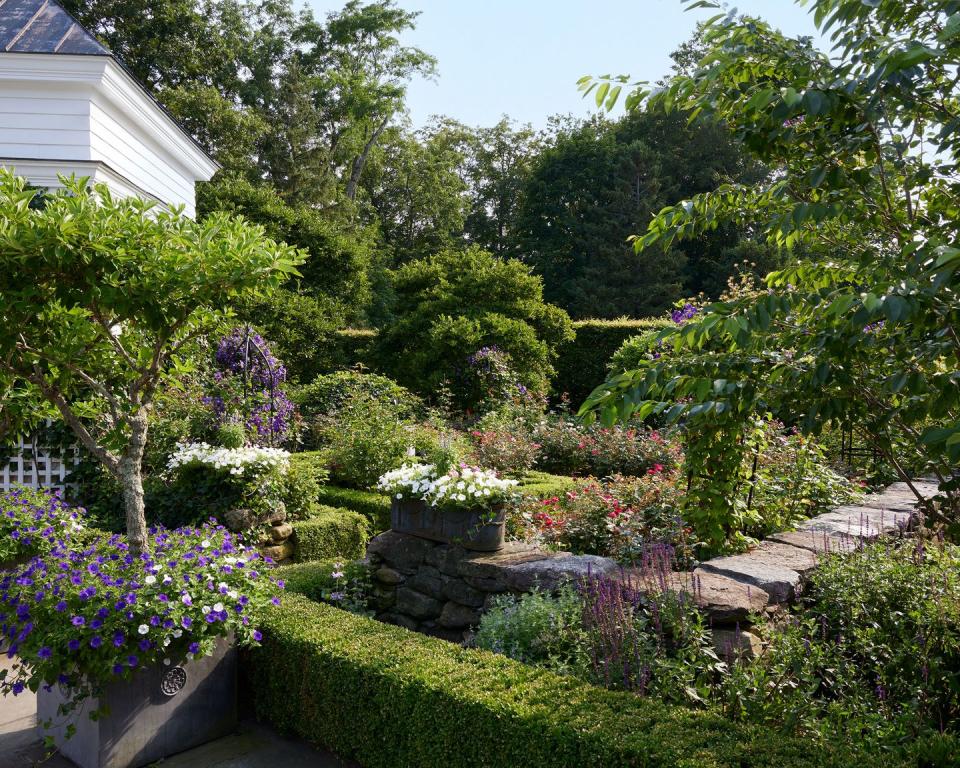 a garden with bushes and trees