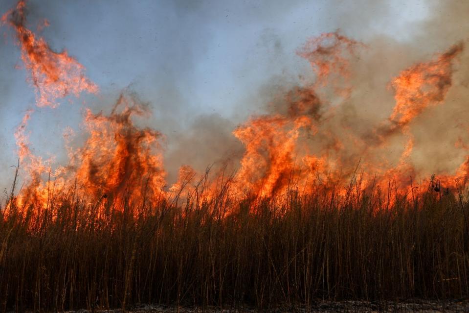 Grasses are on fire in a mined field near the village of Grakovo, liberated by Russian forces, in Kharkiv Oblast, Ukraine on Sept. 29, 2023. (Sofiia Bobok/Anadolu Agency via Getty Images)