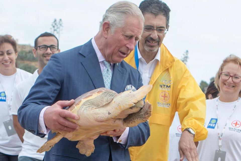 Prince Charles releases a rehabilitated turtle into the sea on Golden Bay beach in Malta (PA)