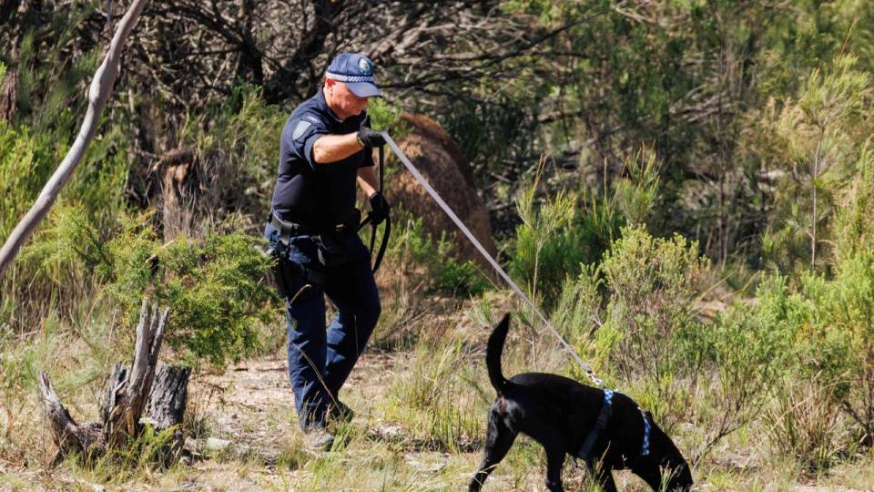 Bodies Found