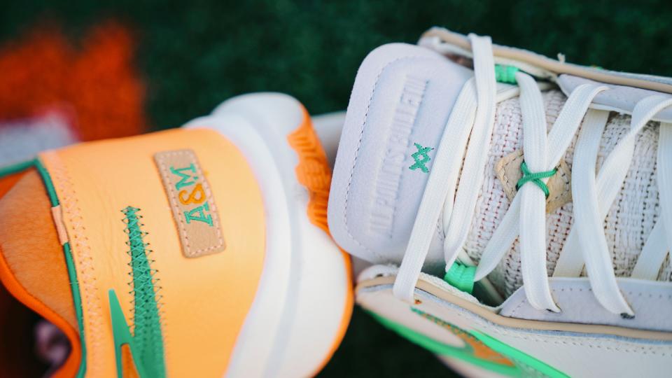 The shoes are branded with the trademarked Nike check and the Florida A&M logo.