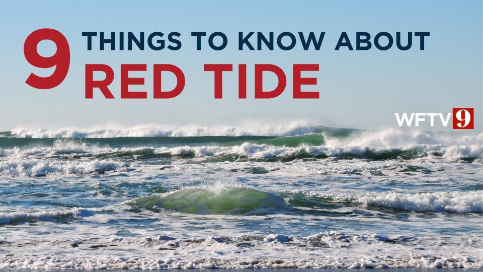 Here are 9 things you need to know about red tide, according to the Florida Fish and Wildlife Conservation Commission.