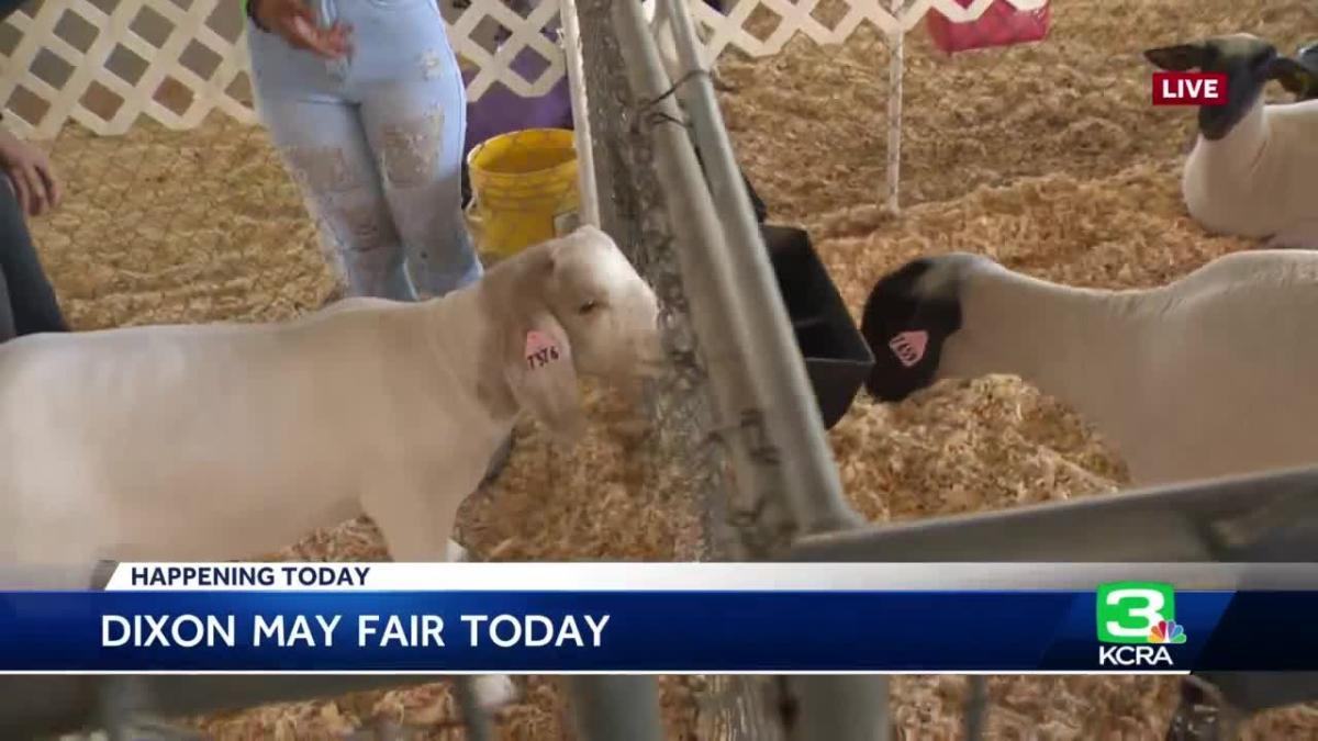 Dixon May Fair, one of the oldest festivals in California, returns