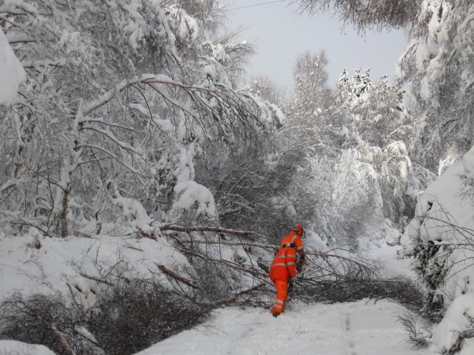 Tree and snow on the railway, Kyleum, Scotland (Network Rail)