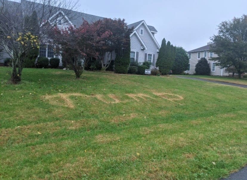 Charlotte King's lawn, in Wolfe Pointe in Lewes, had "Trump" chemically burned into it Nov. 13.