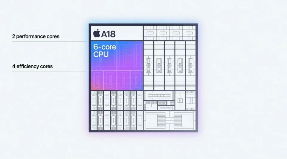 A18的CPU採6核心配置，包含2個性能核心與2個節能核心。取自Apple