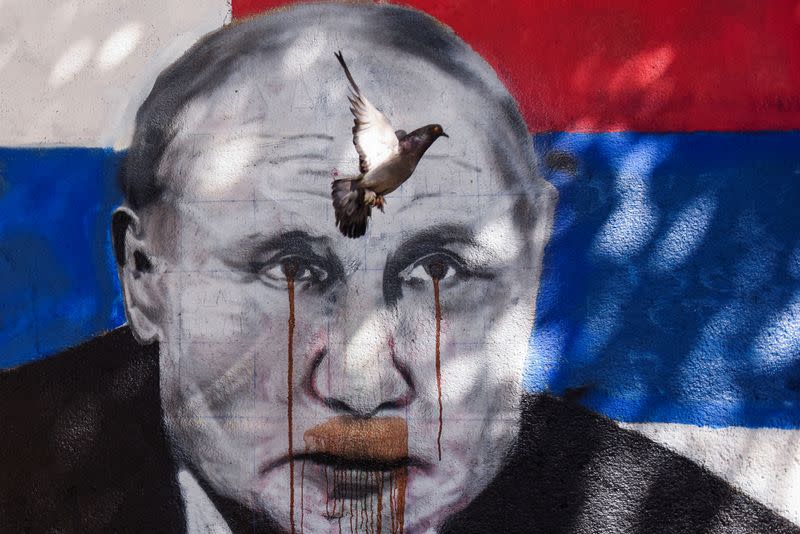 The pigeon flies over the mural of Russian President Vladimir Putin, in Belgrade
