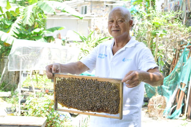 蜂農廣叔參加「拯救本地蜂保育計畫」，累計接收市區逾十萬隻蜜蜂到農場定居。