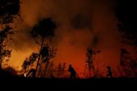 The Wider Image: Indonesia's firefighters on frontline of Borneo's forest blazes