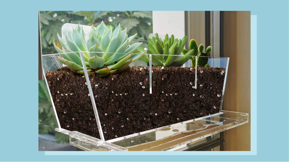 The Niuxx Window Flower Pot mounts to your window—indoors or out.