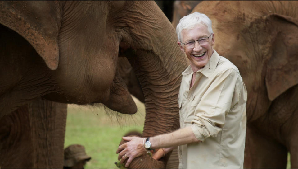 Embargoed until 00.01am on Tuesday 26 March 2024
From Olga TV and Silver Star 

PAUL OGRADYâ€™S GREAT ELEPHANT ADVENTURE
Sunday 31 March 2024 at 8pm on ITV1 and ITVX

Pictured: Paul Oâ€™Grady meets the Elephants at The Elephant Nature Park, which is the largest elephant rescue centre in Thailand,

In this opening episode, Paul travels to the hills surrounding the ancient city of Chiang Mai, 400 miles north of Bangkok and known as the elephant capital of Thailand. He visits The Elephant Nature Park, which is the largest elephant rescue centre in Thailand,
providing refuge and a retirement home for ex-working elephants since it was founded over 20 years ago.

Next, Paul heads to Sukhothai to meet extraordinary British expat Katherine who quit the rat-race in London to set up Boon Lotts Elephant sanctuary in rural Thailand 15 years ago. This stunning 500- acre jungle playground is home to her nine elephants, and she takes on the challenge of teaching Paul how to become a mahout, an elephant handler.

Charged with looking after three of Katherineâ€™s elephants, aka the Gossip Girls who all have foot problems that need constant attention, Paul is also given a crash course on how to use a machete, as well as learning the unusual vocabulary that man and elephant share â€“ to mixed results...

While in the area, Paul also pays a visit to the Friends of the Asian Elephant hospital, the worldâ€™s first ever elephant hospital. Here he meets the extraordinary elephant Motala, who lost a leg after standing on a land mine. Now recovered, Paulâ€™s on hand to help take her out for a walk â€“ with the use of an extraordinary prosthetic leg.

(C) Olga TV and Silver Star 

For further information please contact Peter Gray
Mob 07831460662 /  peter.gray@itv.com

This photograph is (C) *** and can only be reproduced for editorial purposes directly in connection with the programme or event mentioned herein.

Once made available by ITV plc Picture Desk, this photograph can be reproduced once only up until the transmission [TX] date and no reproduction fee will be charged.

Any subsequent usage may incur a fee.

This photograph must not be manipulated [excluding basic cropping] in a manner which alters the visual appearance of the person photographed deemed detrimental or inappropriate by ITV plc Picture Desk.

This photograph must not be syndicated to any other company, publication or website, or permanently archived, without the express written permission of ITV Picture Desk.

Full Terms and conditions are available on the website www.itv.com/presscentre/itvpictures/terms
