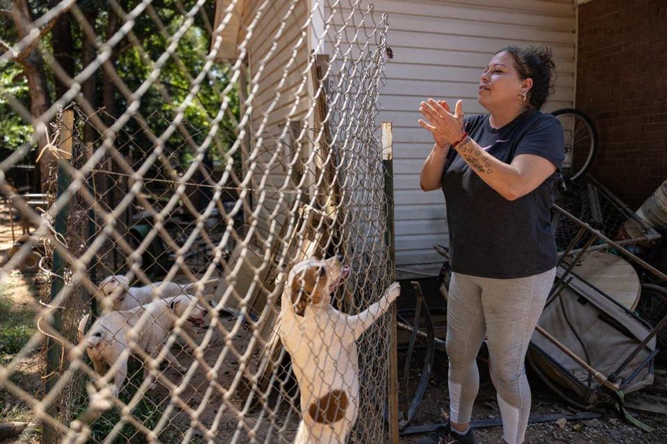 Katherine’s dogs clamor for her attention in the backyard. Khadejeh Nikouyeh/Knikouyeh@charlotteobserver.com