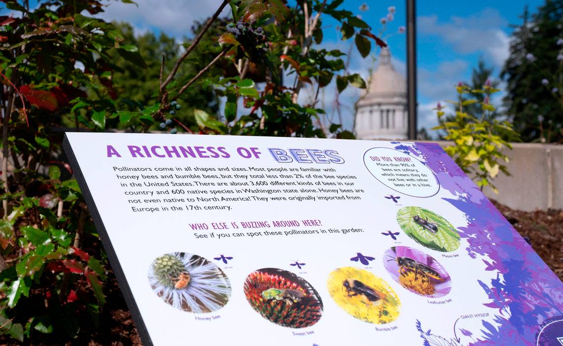 Educational signs designed by the Woodland Park Zoo provide information about the role of pollinators, and a QR code to access more information on the internet. The Capitol Campus Pollinator Garden is shown on the East Capitol Campus in Olympia, Washington on Thursday, June 30, 2022.