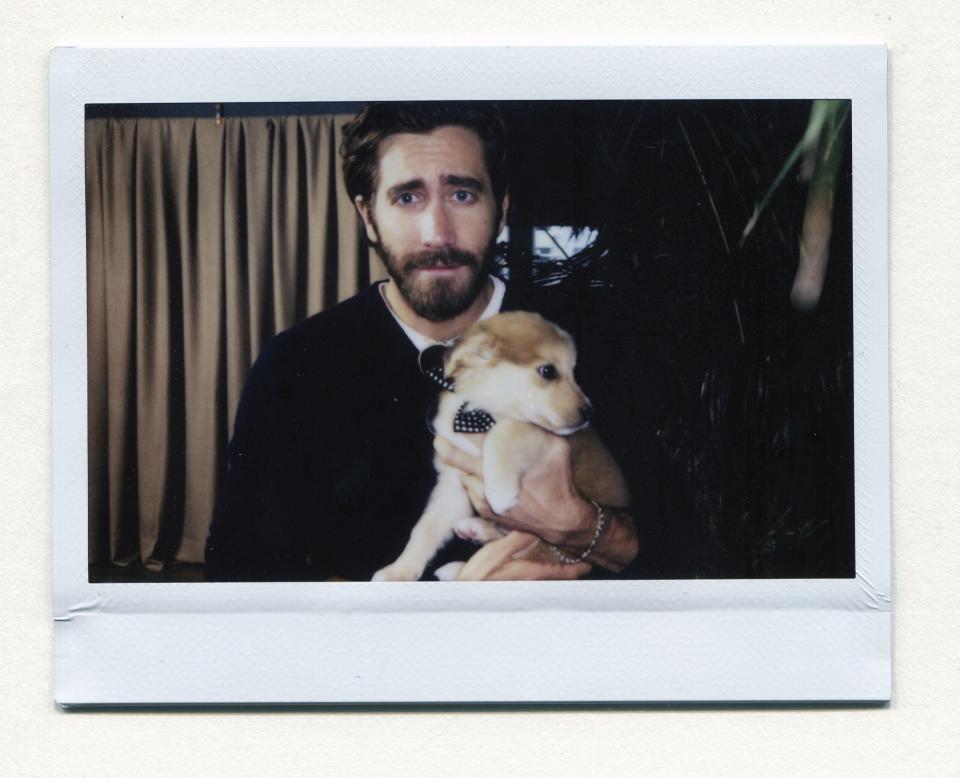 <p>We could get lost in those eyes. (Jake's or the puppy's? Anyone's guess.)</p>