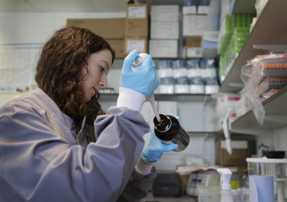 Jess O'Hara a research technician works on the process of testing antibodies to see if they bind to the virus, in the laboratory at Imperial College in London, Thursday, July 30, 2020. Imperial College is working on the development of a COVID-19 vaccine. Scientists at Imperial College London say they are immunizing hundreds of people with an experimental coronavirus vaccine in an early trial after seeing no worrying safety problems in those vaccinated so far. Dr. Robin Shattock told the Associated Press that he and colleagues had just finished a very slow and arduous process of testing the vaccine at a low dose in a small number of participants and would now be expanding the trial to about 300 people, including those over 75. (AP Photo/Kirsty Wigglesworth)