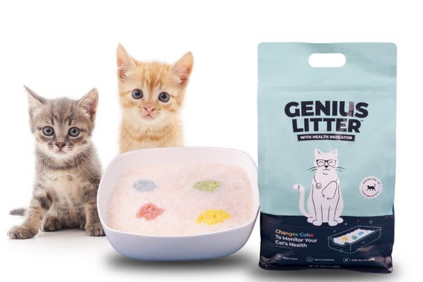 Kitty Litter That Changes Color Based On Cat's Urinary Health