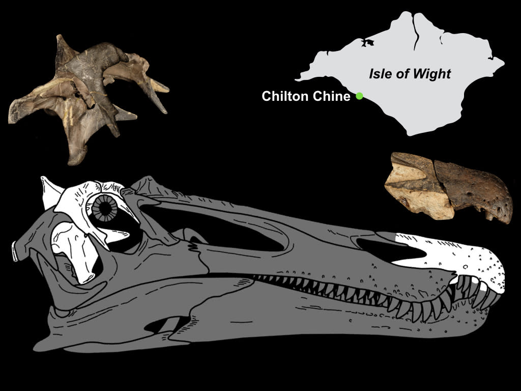 Ceratosuchops skull