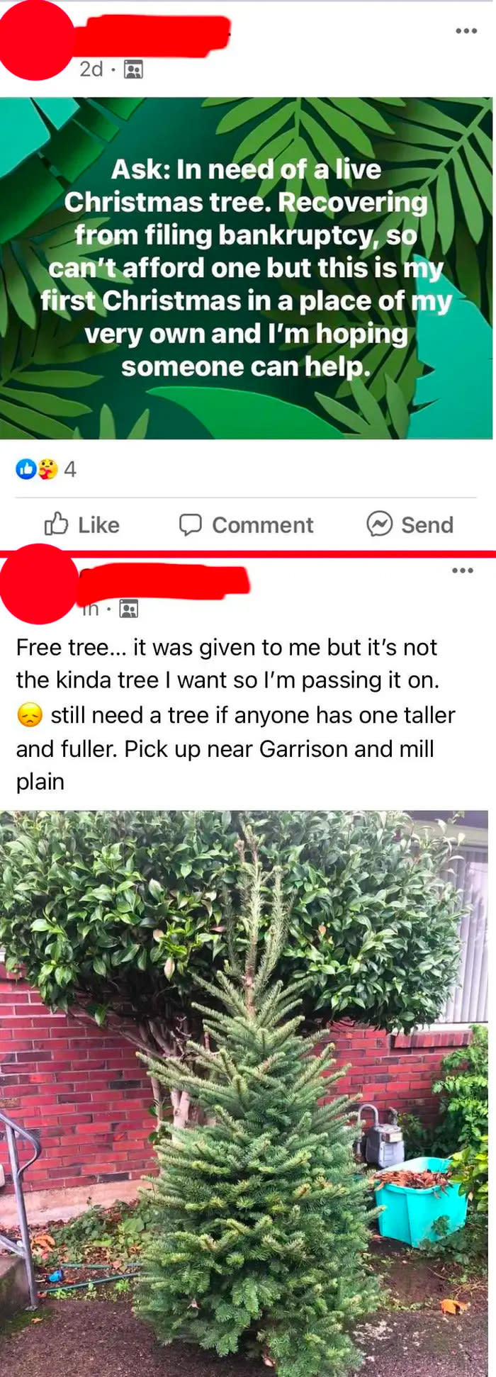 Person recovering from declaring bankruptcy asking on FB for a free tree but are giving away the one they got because it's not tall or full enough