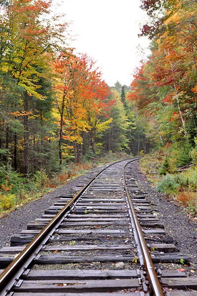 <p>Disfrutar de los impresionantes paisajes otoñales de las montañas del norte de Estados Unidos es fácil con esta ruta. Puedes hacerla en un fin de semana, parando en lugares como Saratoga e Ithaca. Foto: Mike Steege / EyeEm / Getty Images. </p>