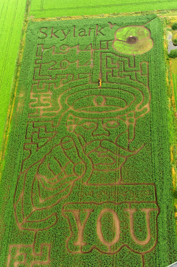 kitchener ww1 poster carved into maze in cambridgeshire