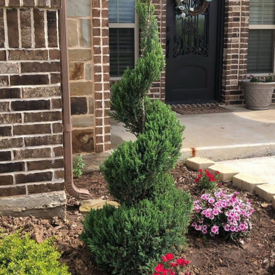 <p><a href="https://go.redirectingat.com?id=74968X1596630&url=https%3A%2F%2Fgardengoodsdirect.com%2Fproducts%2Fspartan-juniper-spiral-topiary%3Fvariant%3D40587518672938%26device%3Dc%26gad_source%3D1%26gclid%3DCjwKCAjwtqmwBhBVEiwAL-WAYegCt-6kSVUjSdE_59xj211ZCrrDA_hqfxMKRjYbI6GpIJ_qfxjWvxoCgM8QAvD_BwE&sref=https%3A%2F%2Fwww.housebeautiful.com%2Flifestyle%2Fgardening%2Fg30319232%2Ffront-door-plants%2F" rel="nofollow noopener" target="_blank" data-ylk="slk:Shop Now;elm:context_link;itc:0;sec:content-canvas" class="link ">Shop Now</a></p><p>Spartan Juniper Spiral Topiary</p><p>Garden Goods Direct</p><p>$219.95</p>