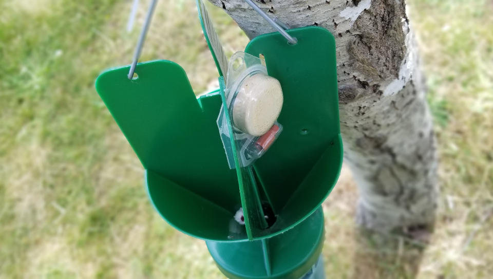 Japenese beetle trap