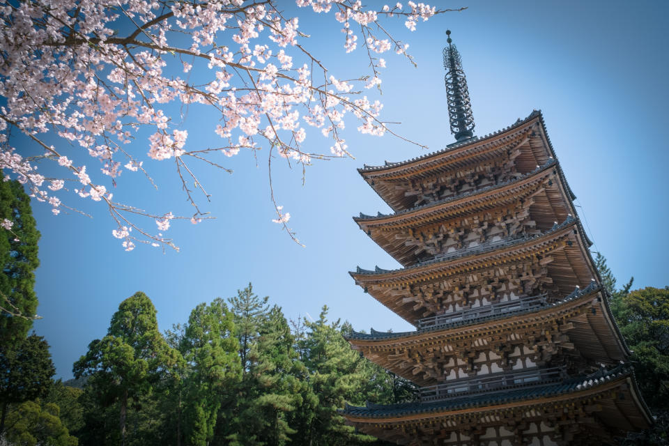 醍醐寺。圖片來源：Getty Images