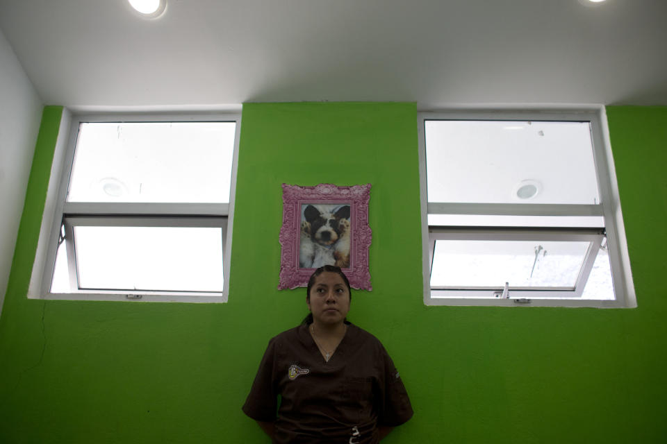 In this Wednesday, April 2, 2014 photo, a veterinarian stands under a framed portrait of a dog, in one of the canine guest rooms at Nuugi, which bills itself as a resort for pets, on the outskirts of Mexico City. Many of the dog rooms are equipped with flat screen TVs for the dog's entertainment. The services on offer include aromatherapy and acupuncture. (AP Photo/Rebecca Blackwell)