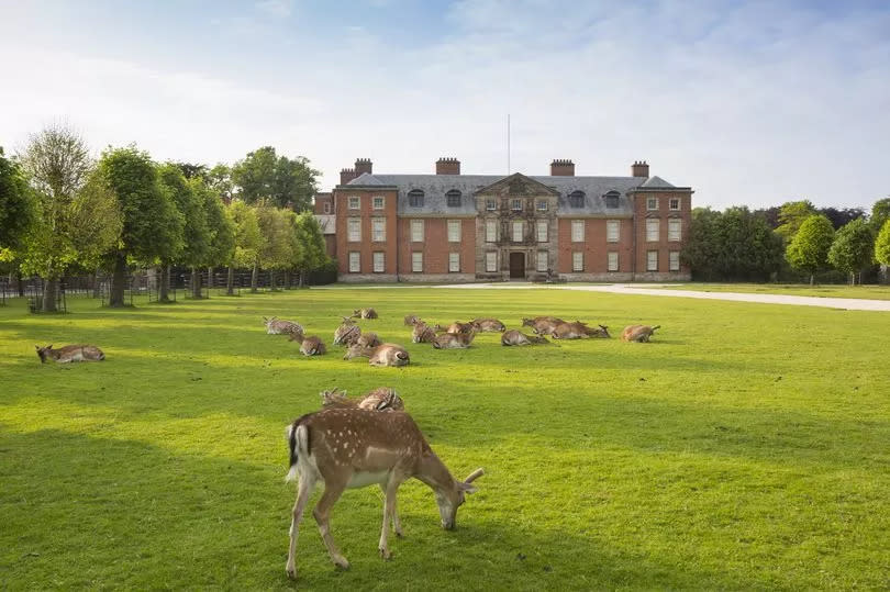 Dunham Massey deer park -Credit:©National Trust Images/Chris Lac